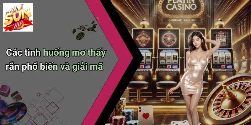 Các tình huống mơ thấy rắn phổ biến và giải mã