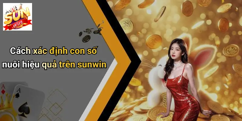 Cách xác định con số nuôi hiệu quả trên sunwin